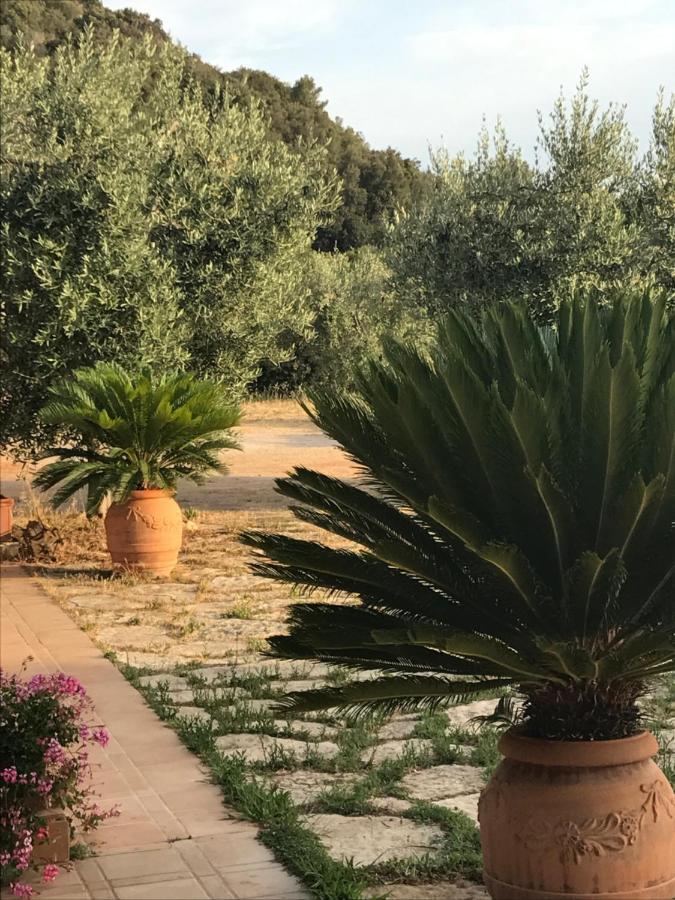 مبيت وإفطار بورتو سانتو ستيفانو Stella D'Argento المظهر الخارجي الصورة